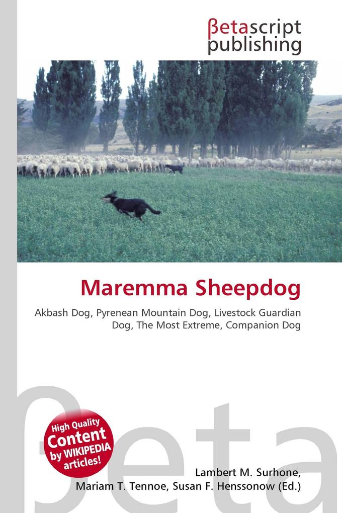 Maremma Sheepdog