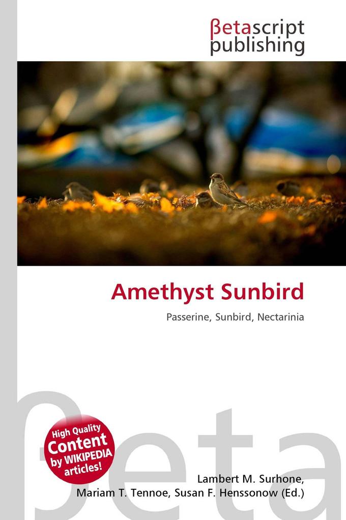 Amethyst Sunbird