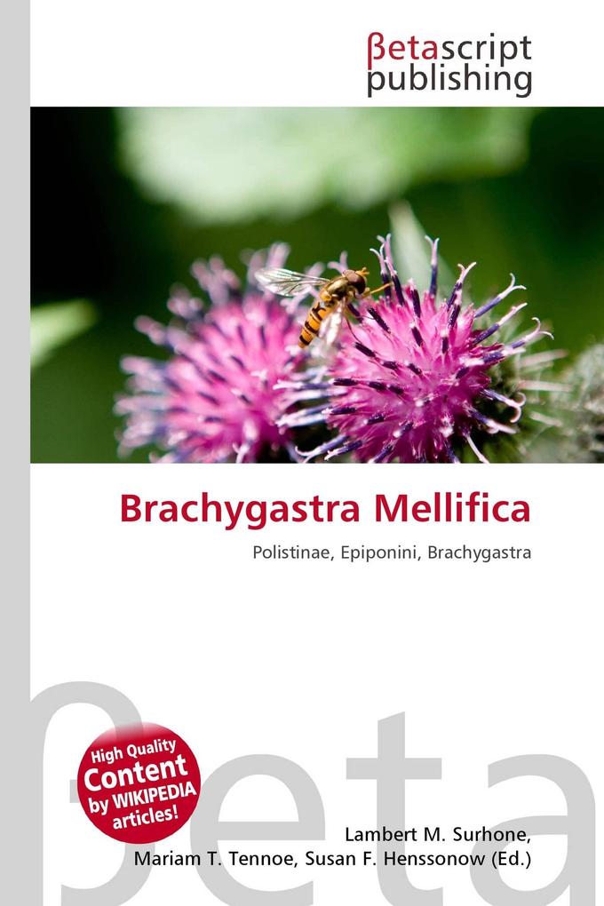 Brachygastra Mellifica