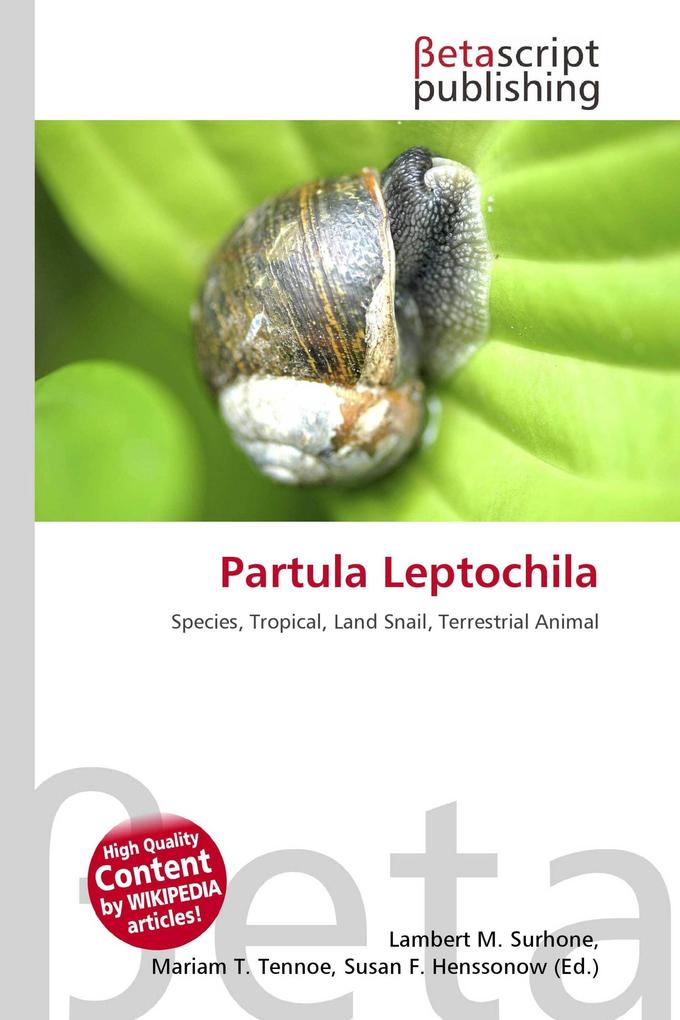 Partula Leptochila