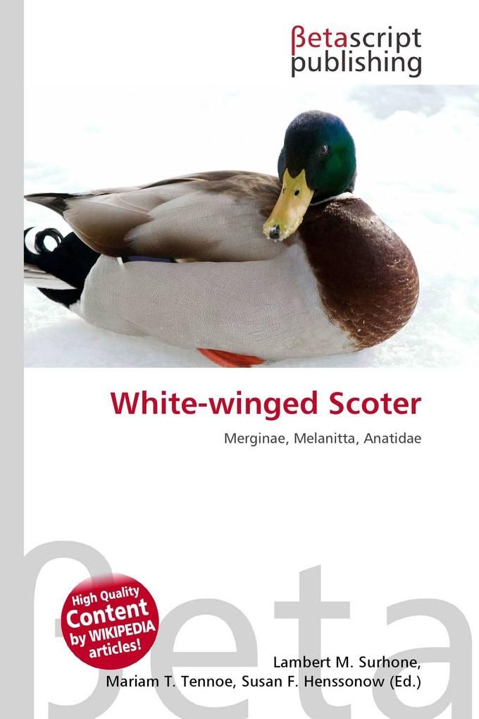White-winged Scoter