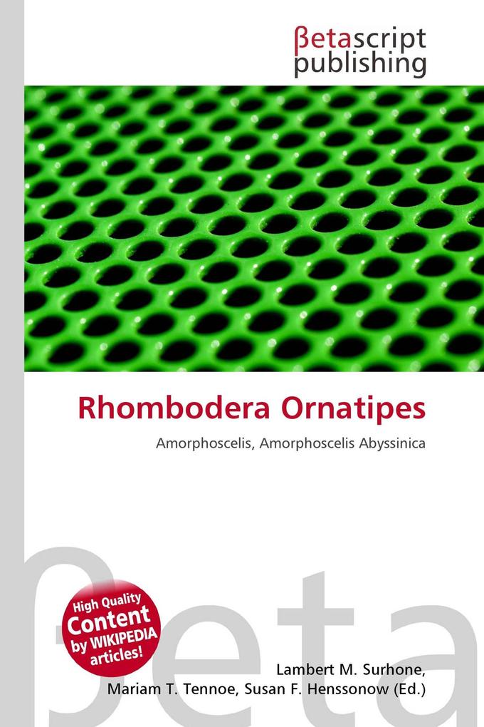 Rhombodera Ornatipes