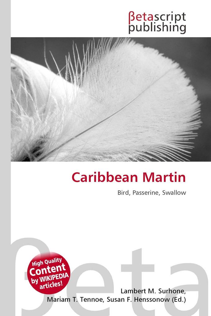 Caribbean Martin