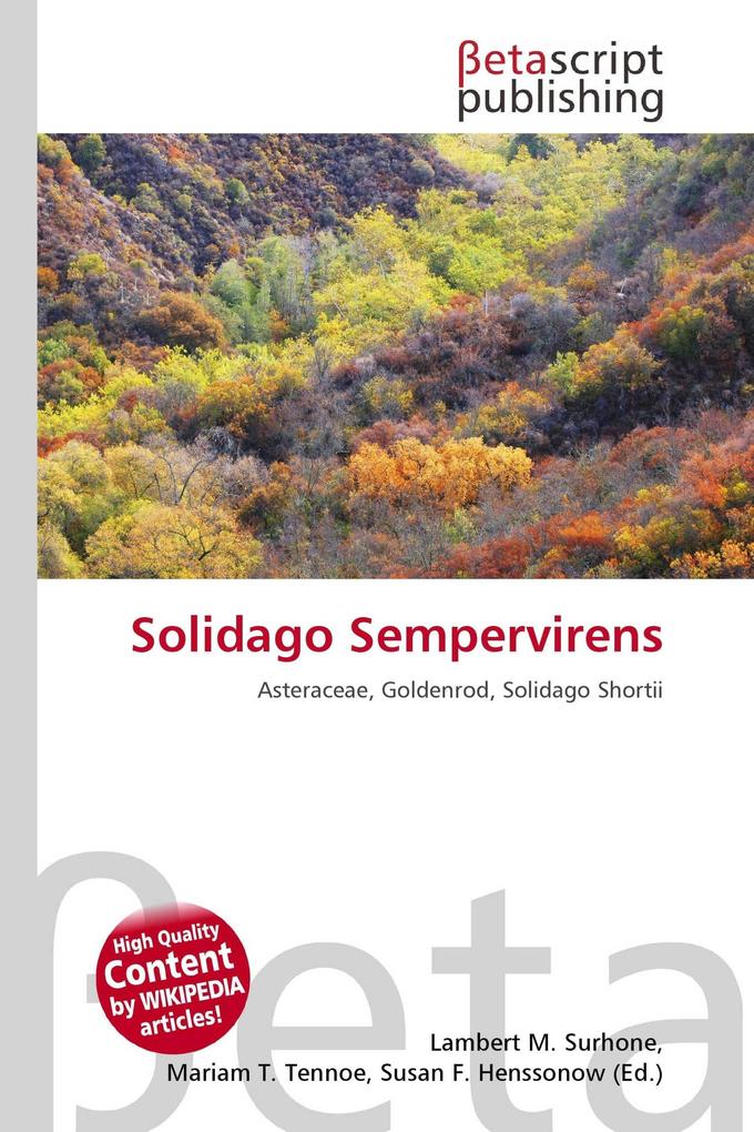 Solidago Sempervirens