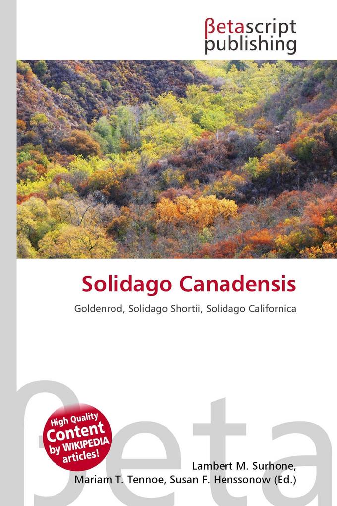 Solidago Canadensis
