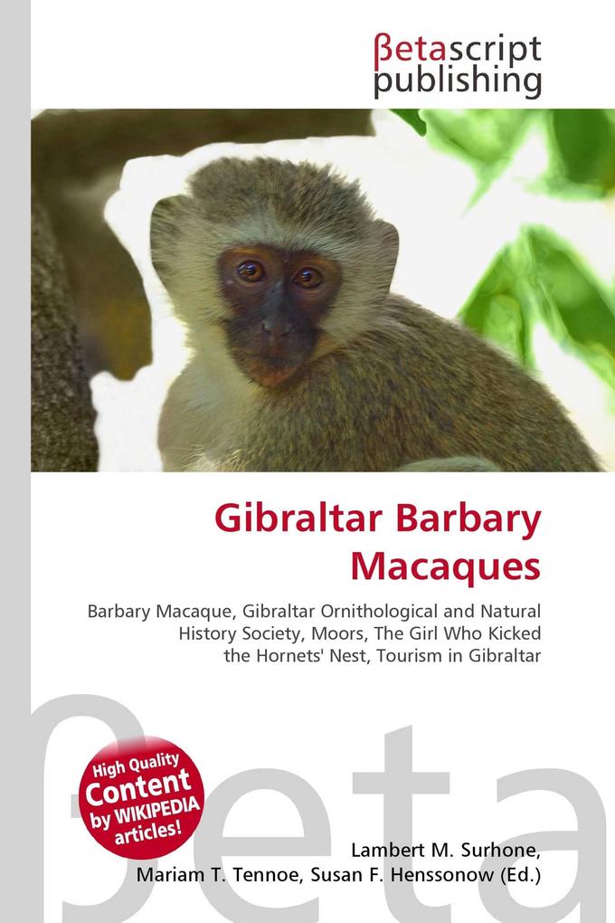 Gibraltar Barbary Macaques