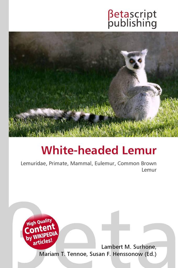 White-headed Lemur