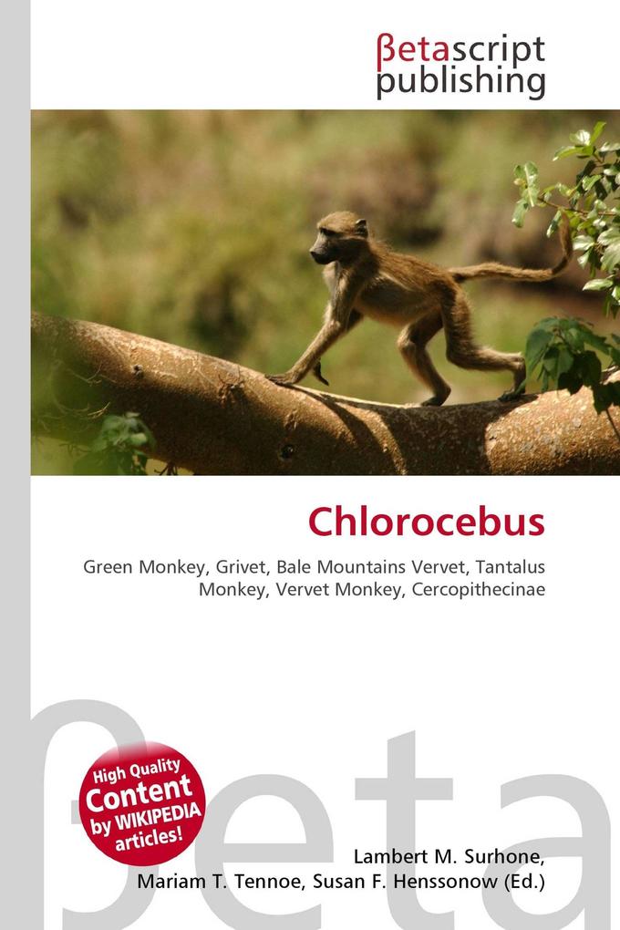 Chlorocebus