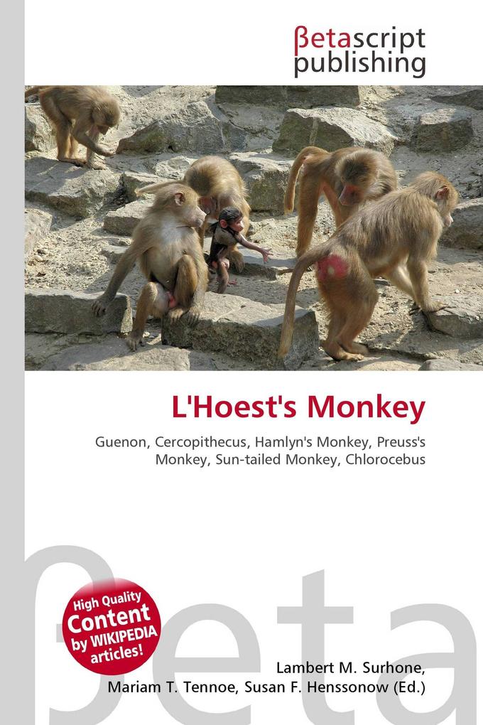L'Hoest's Monkey