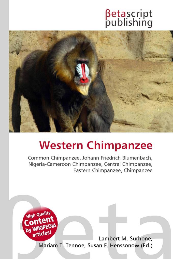 Western Chimpanzee