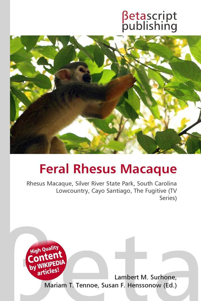 Feral Rhesus Macaque