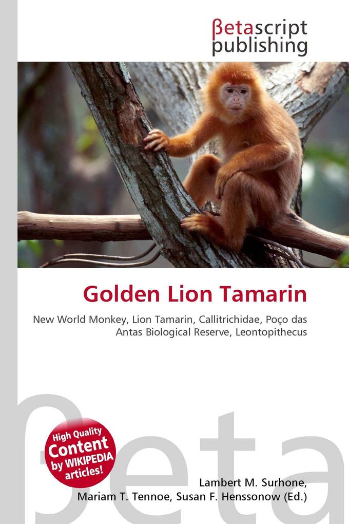 Golden Lion Tamarin
