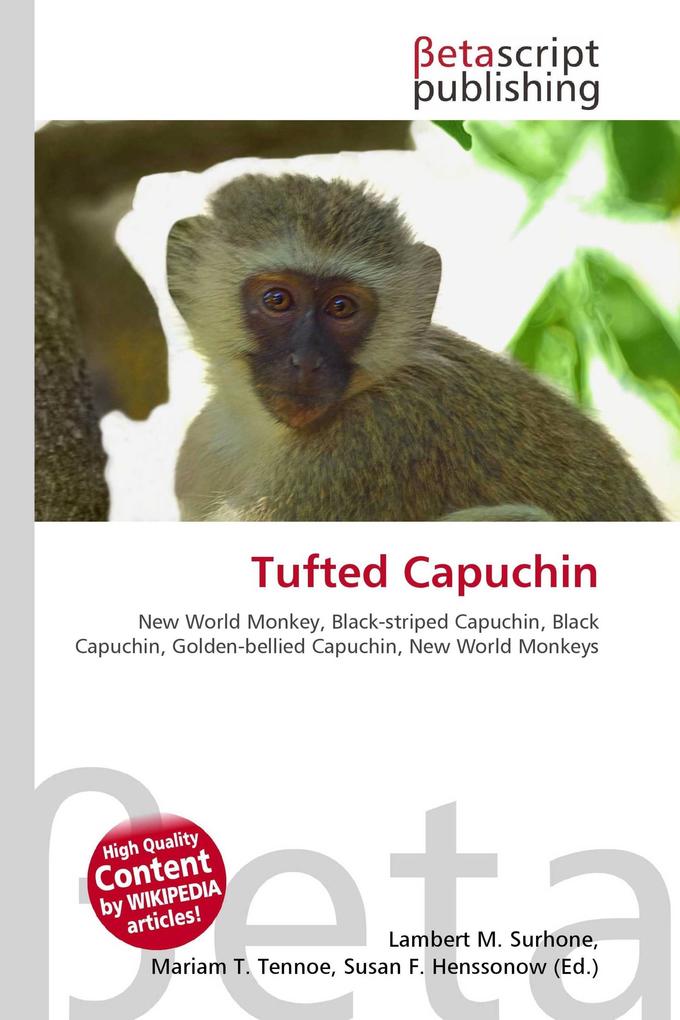 Tufted Capuchin