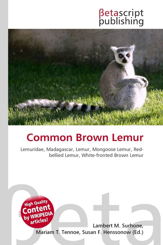 Common Brown Lemur