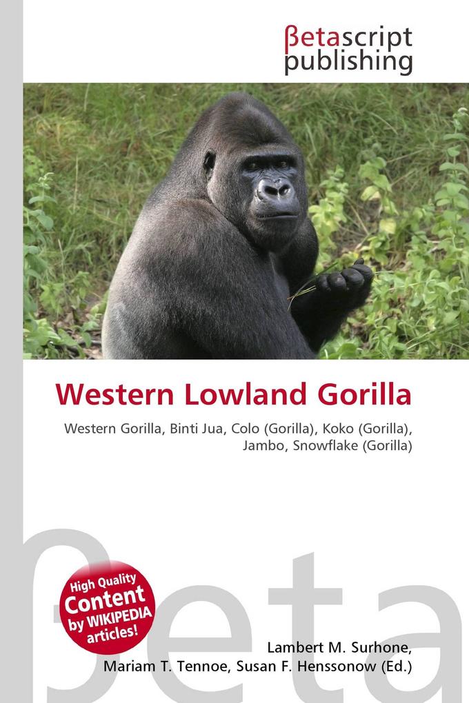 Western Lowland Gorilla