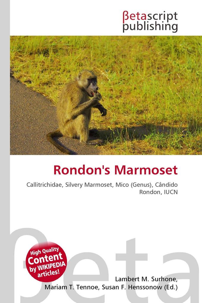 Rondon's Marmoset