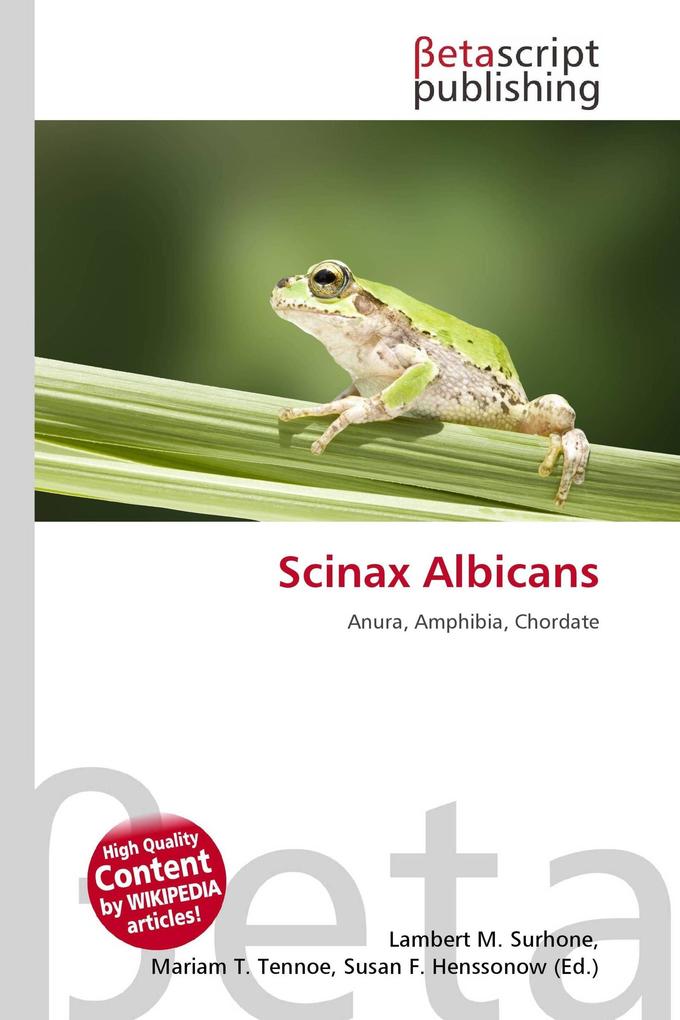 Scinax Albicans