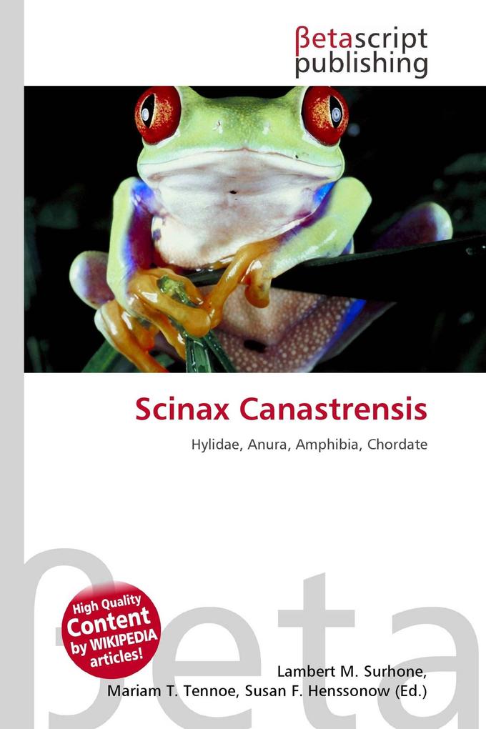 Scinax Canastrensis