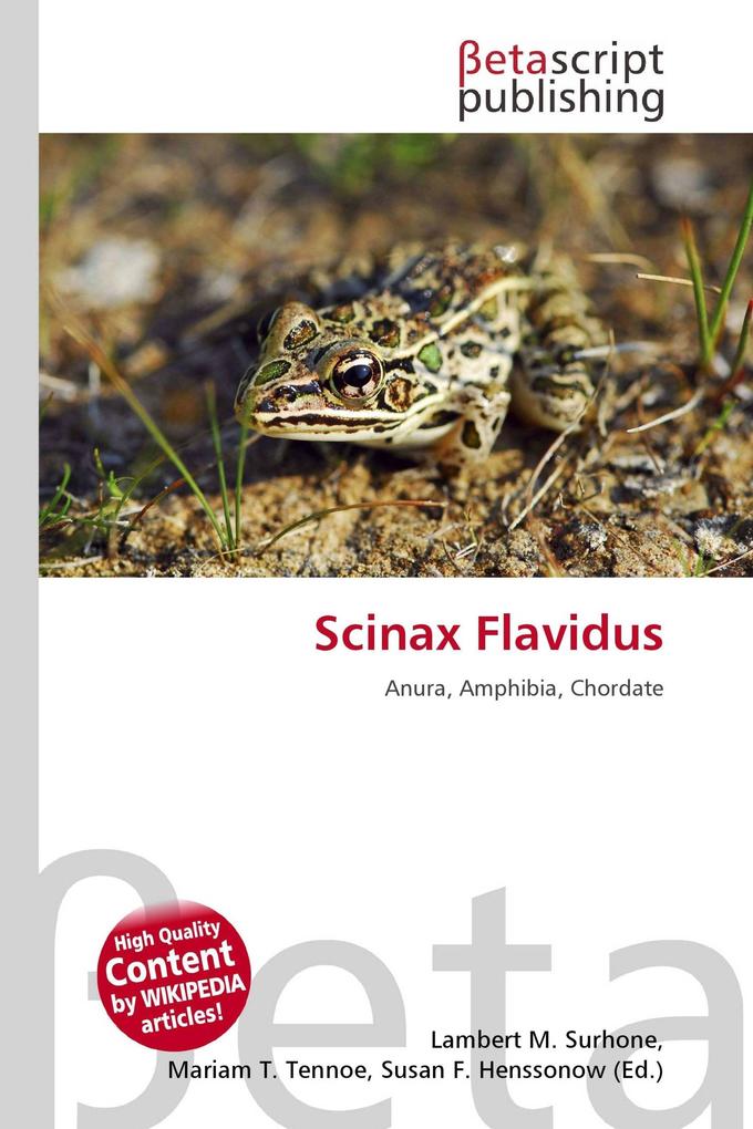 Scinax Flavidus