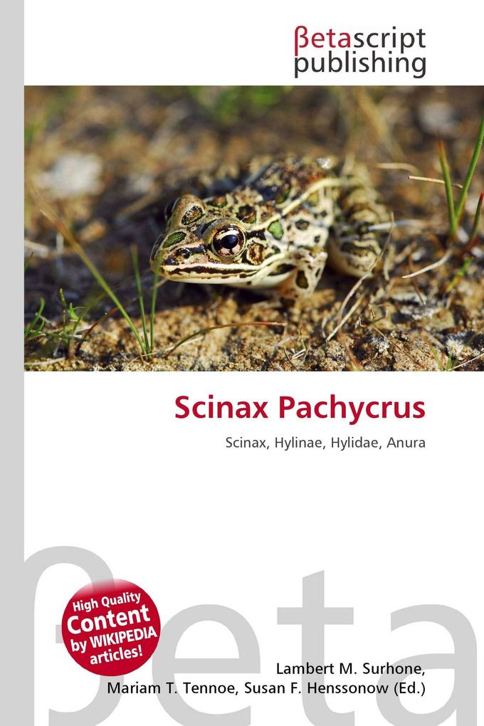 Scinax Pachycrus