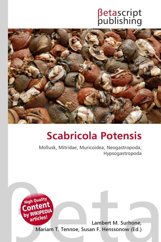Scabricola Potensis
