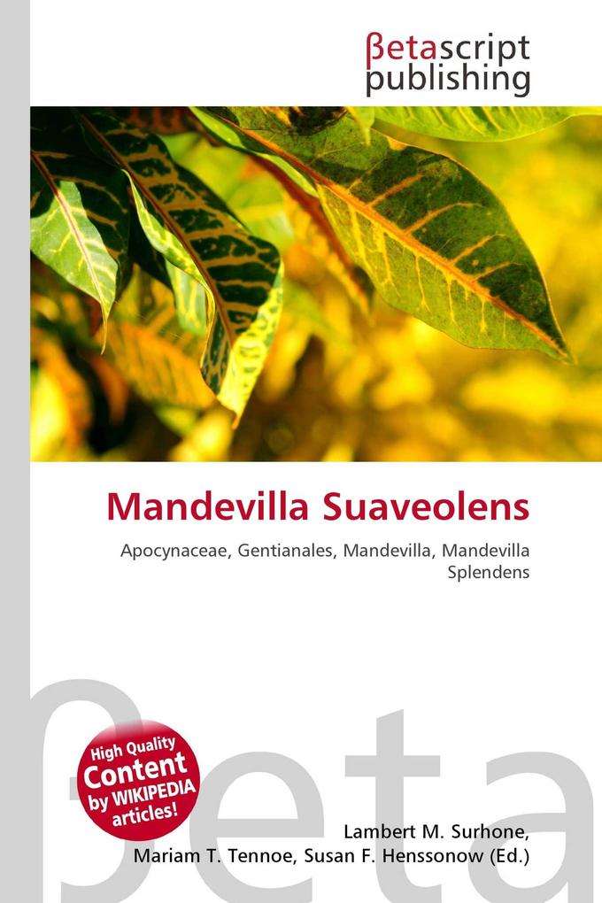 Mandevilla Suaveolens