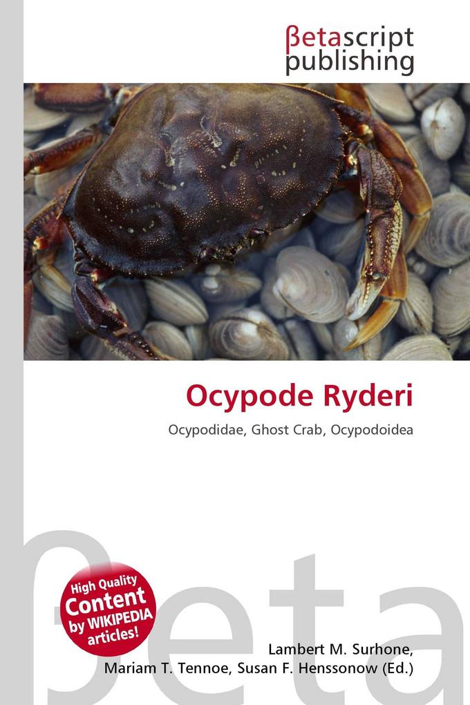 Ocypode Ryderi