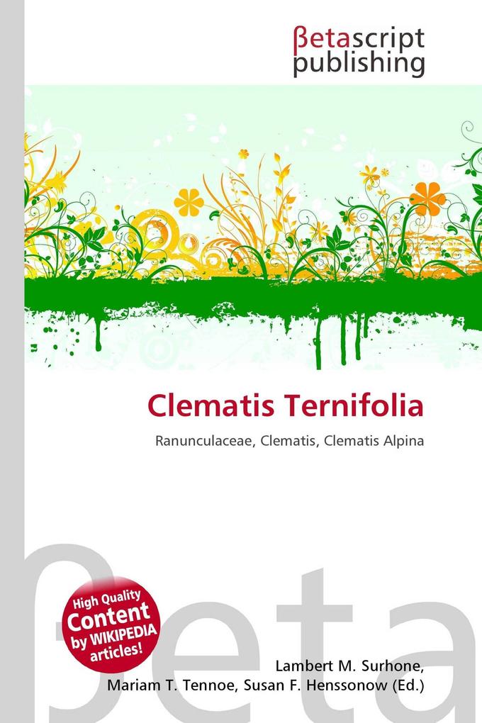 Clematis Ternifolia