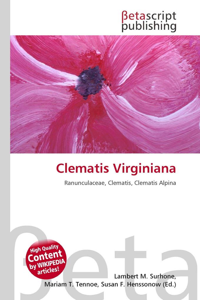 Clematis Virginiana