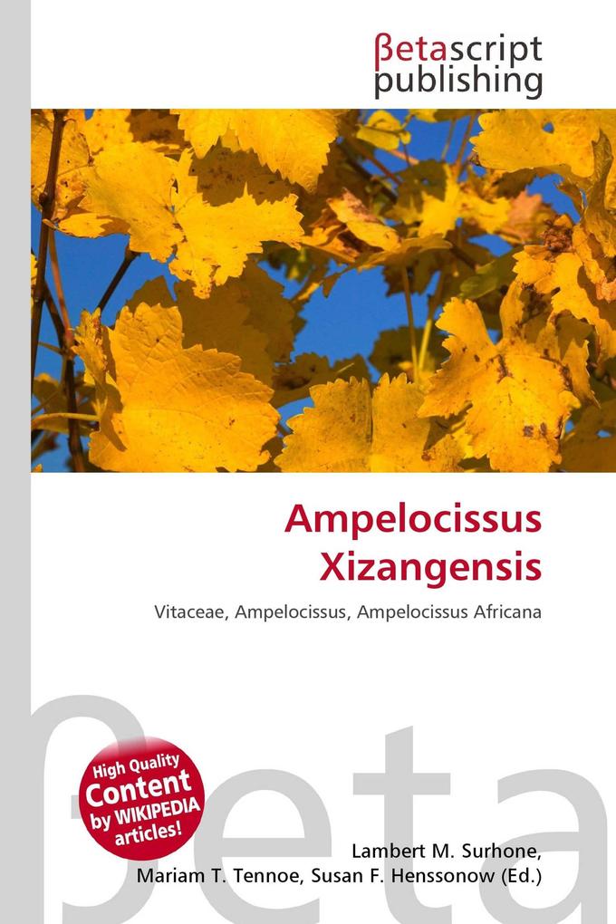 Ampelocissus Xizangensis
