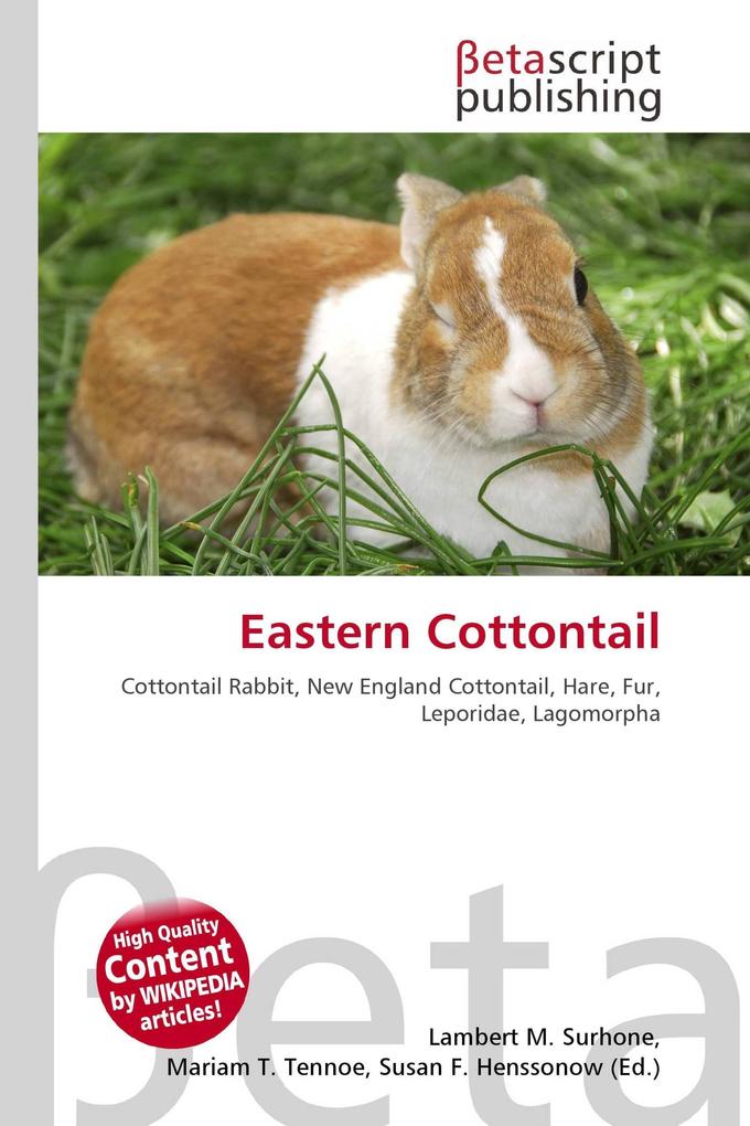 Eastern Cottontail