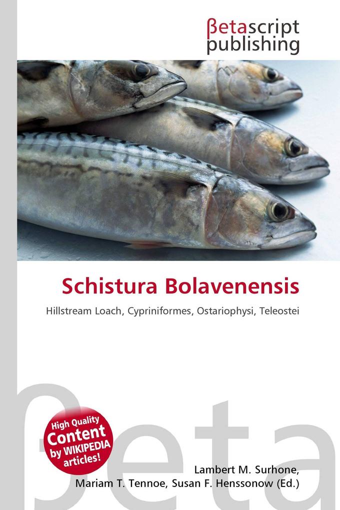 Schistura Bolavenensis