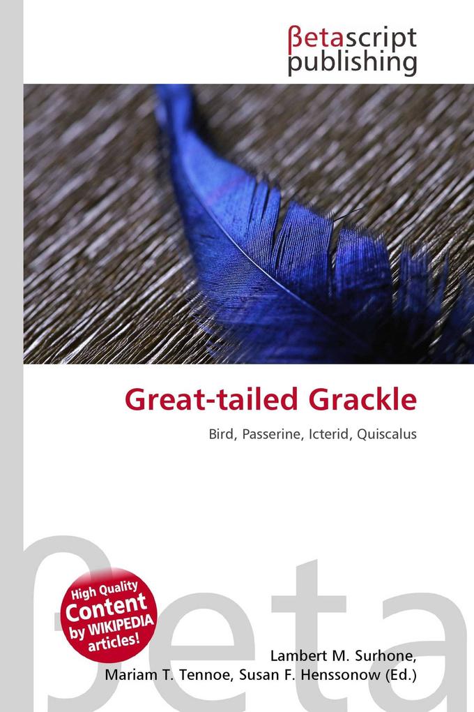 Great-tailed Grackle