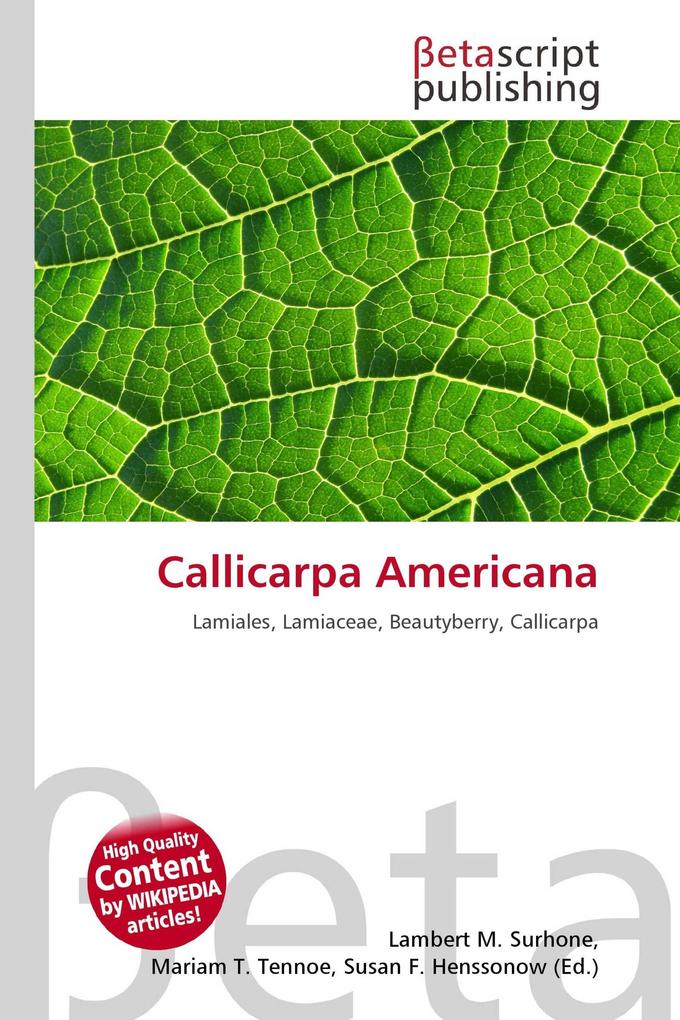 Callicarpa Americana