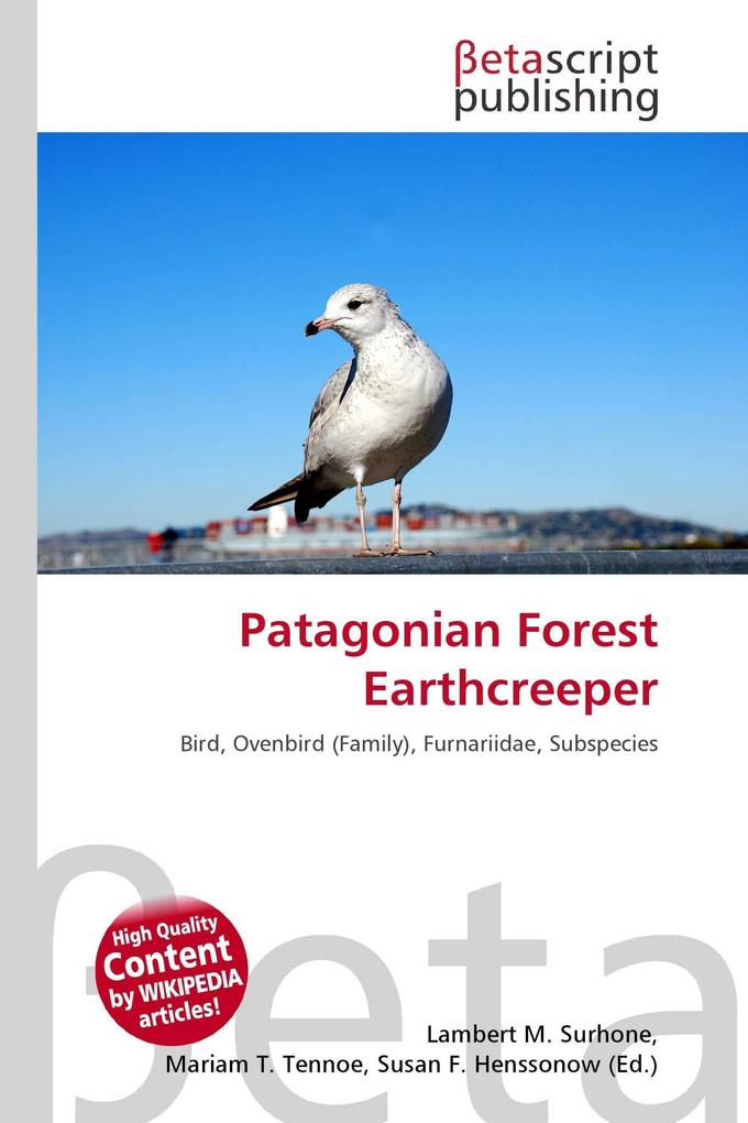 Patagonian Forest Earthcreeper