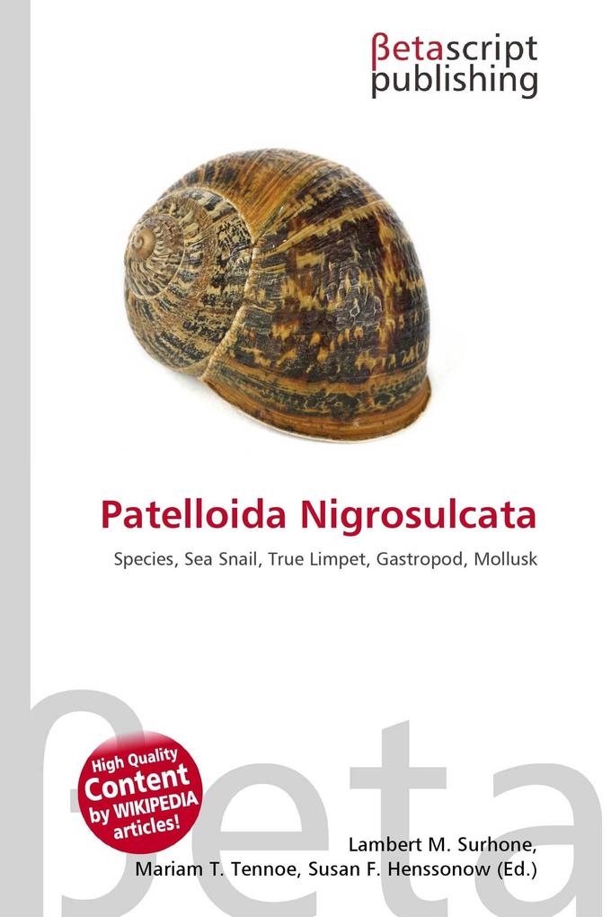 Patelloida Nigrosulcata