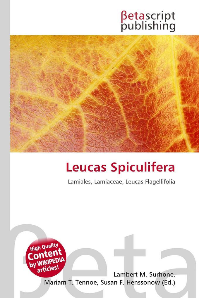 Leucas Spiculifera
