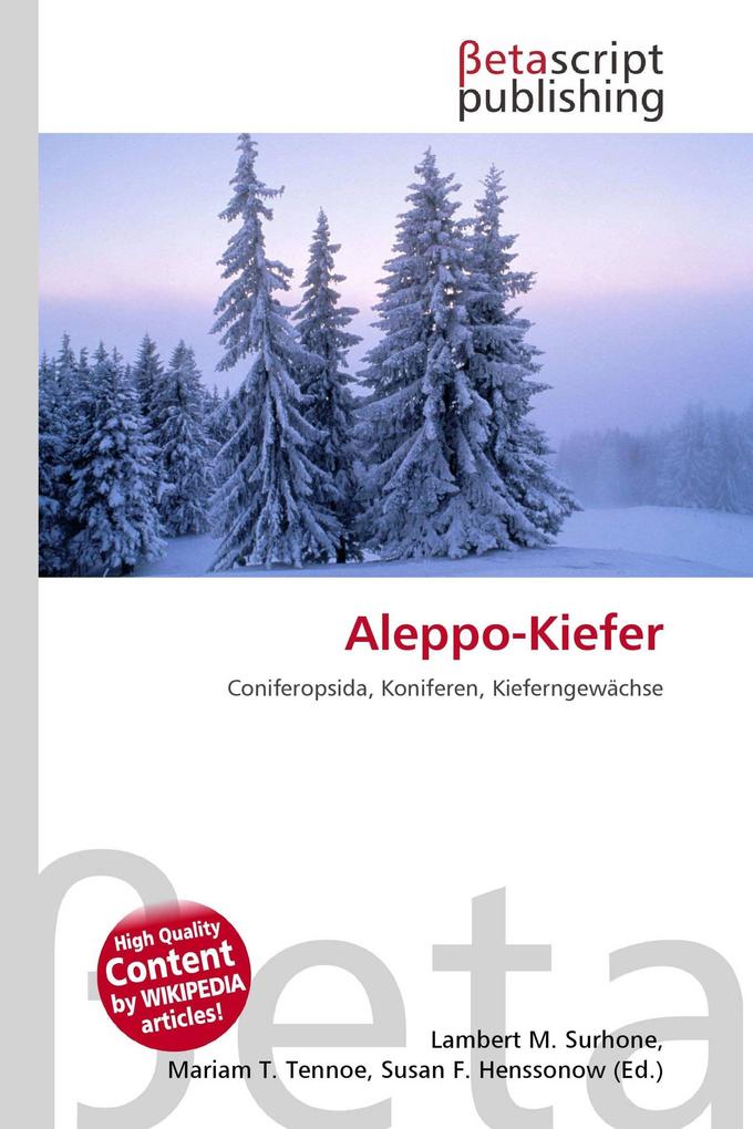 Aleppo-Kiefer