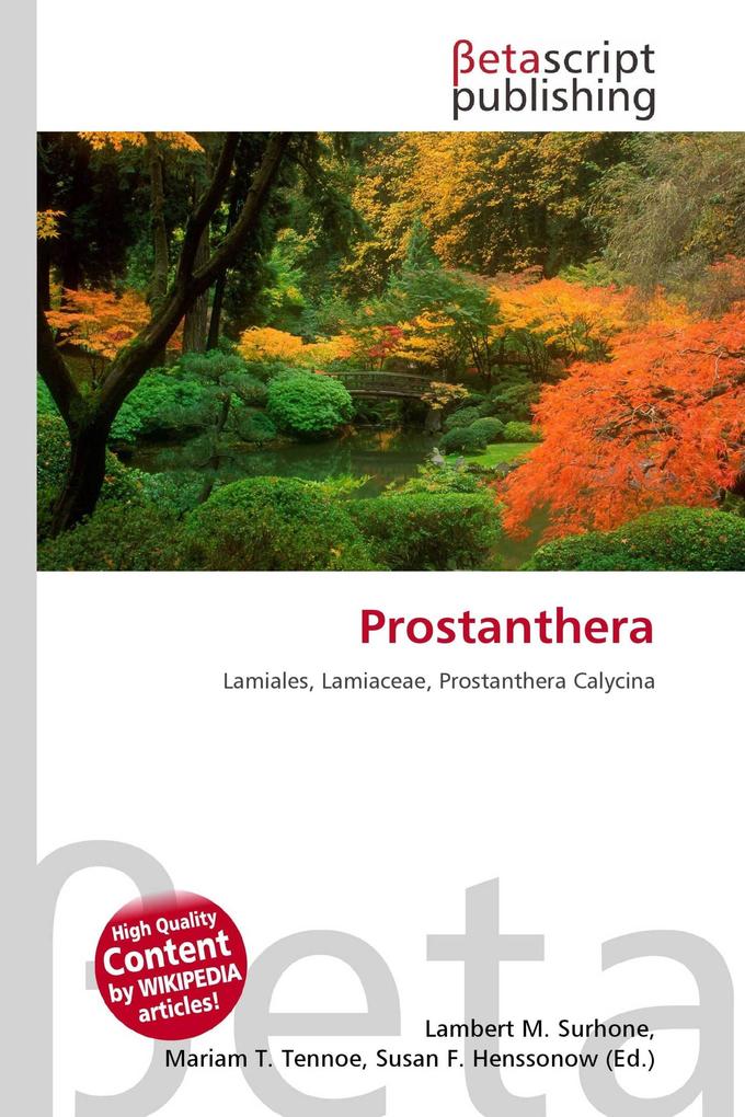 Prostanthera