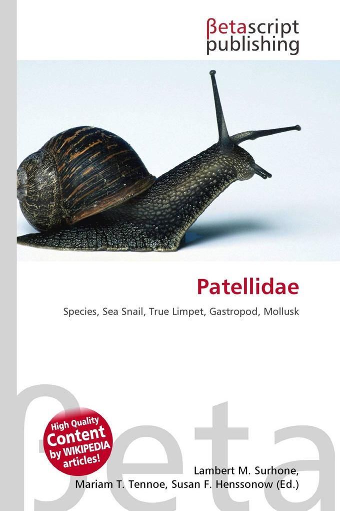 Patellidae