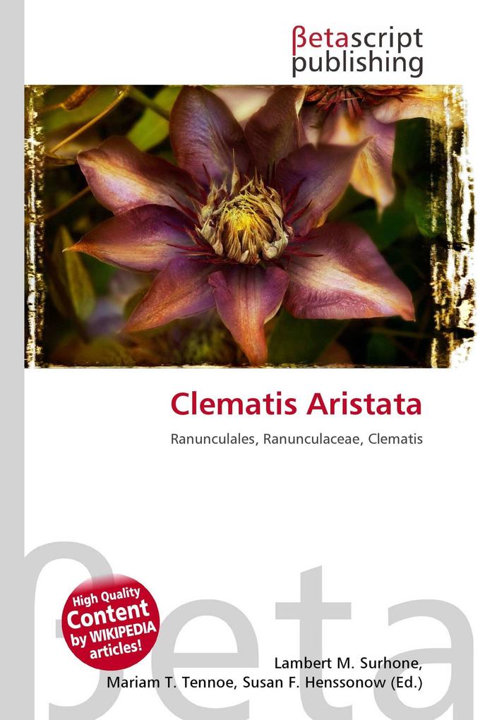 Clematis Aristata