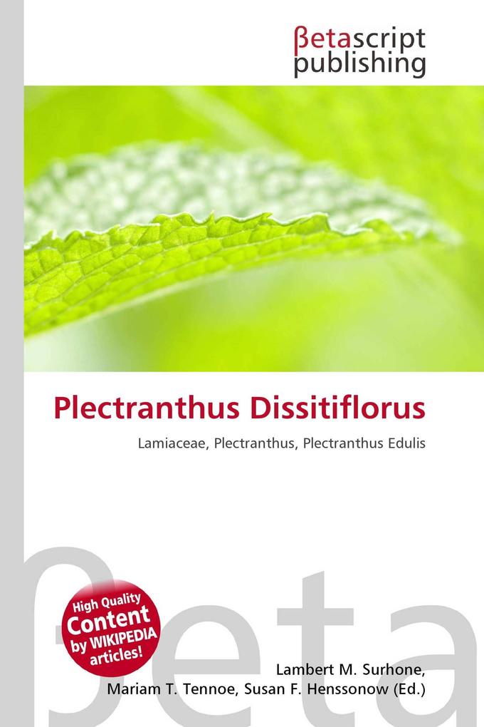 Plectranthus Dissitiflorus