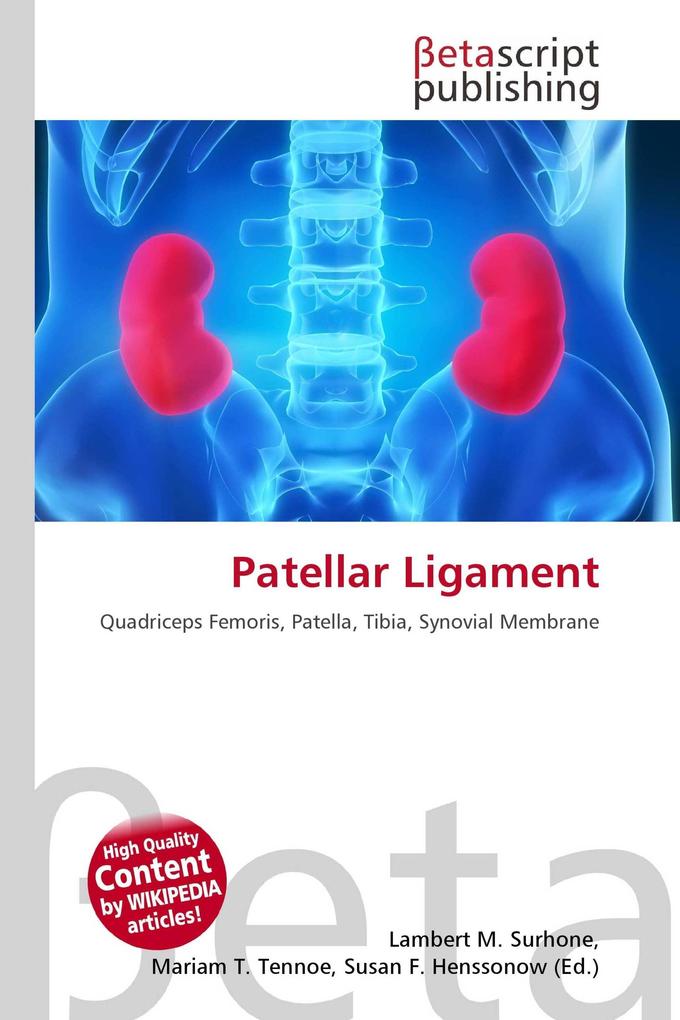 Patellar Ligament