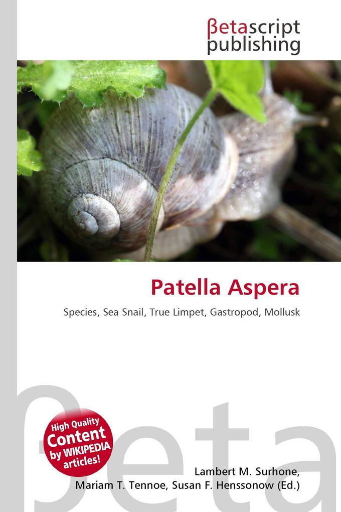 Patella Aspera