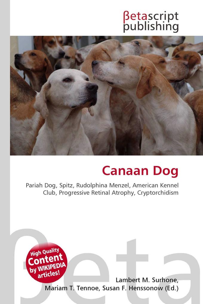 Canaan Dog