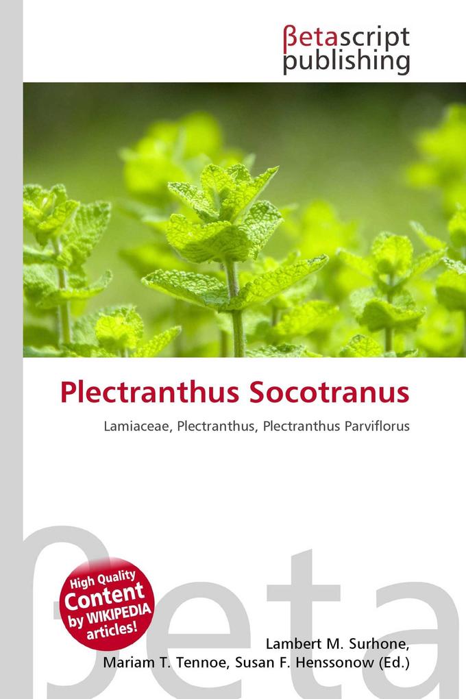 Plectranthus Socotranus
