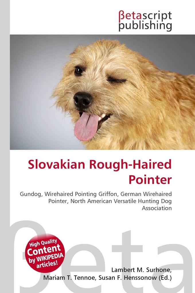 Slovakian Rough-Haired Pointer