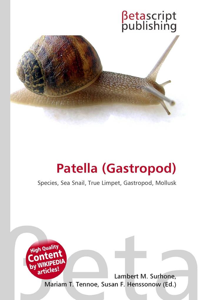 Patella (Gastropod)