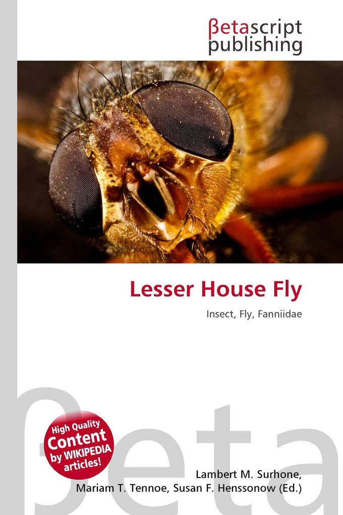 Lesser House Fly