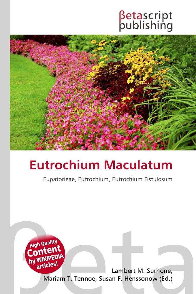 Eutrochium Maculatum